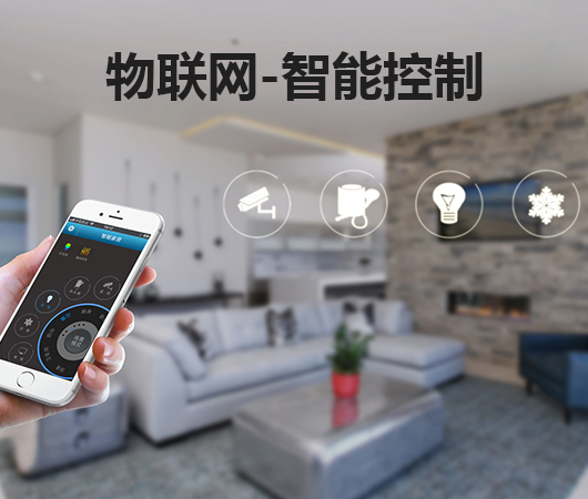 APP软件开发
